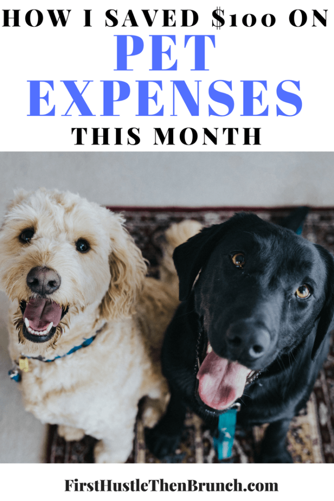 How I Saved Money On Pet Expenses This Month