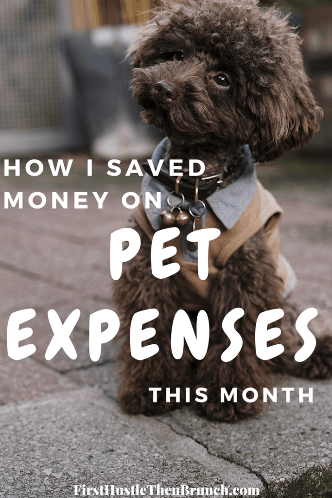 How much money do you spend on your pet each month? When you are paying off debt, saving every penny is very important. Check out this post to find out how I saved $100 on pet expenses this month!
