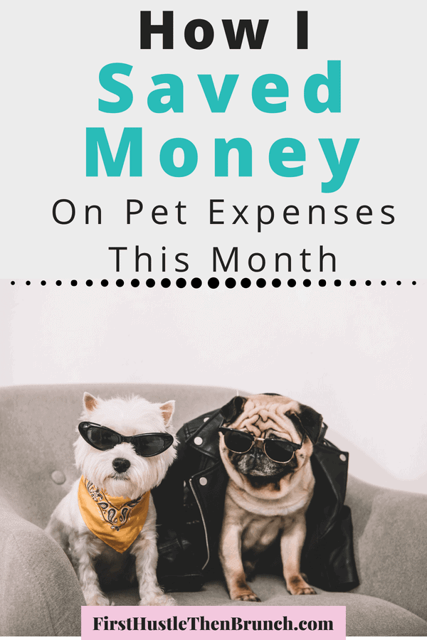 total expenses for taking care of pets